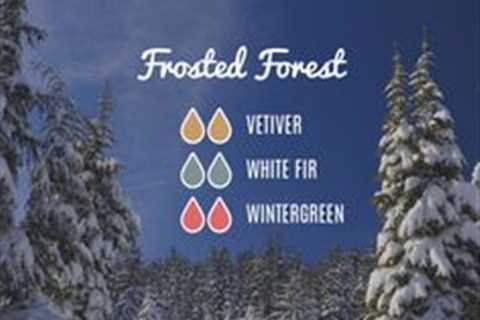 Essential Oils for Winter Wellness by Loving Essential Oils - Frosted forest with vetiver, white..