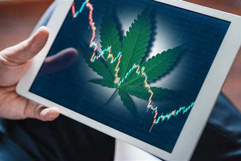 3 Marijuana Stocks To Watch The First Week Of March