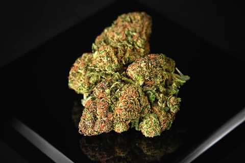 Sour Diesel Hemp Plant Review - Your Trusted Source Of High Quality CBD Reviews & Education