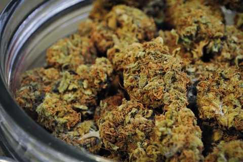 Colorado Marijuana Activists Cleared To Collect Signatures To Legalize Sales In State’s Second..