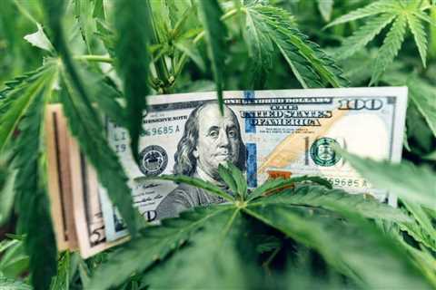 2 Marijuana Stocks To Watch For This Weeks Trading