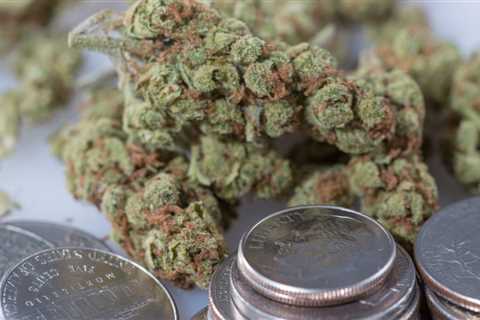 Biden Treasury Secretary Says Congress’s Marijuana Banking Inaction Is ‘Extremely Frustrating’
