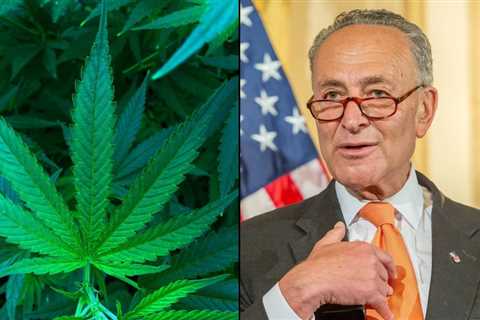 Schumer’s Marijuana Legalization Bill Not Coming This Month, As Senators Work To Finalize Provisions