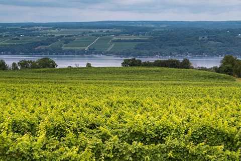 Governor Hochul Issues Proclamation on Earth Day To Round Out Earth Week