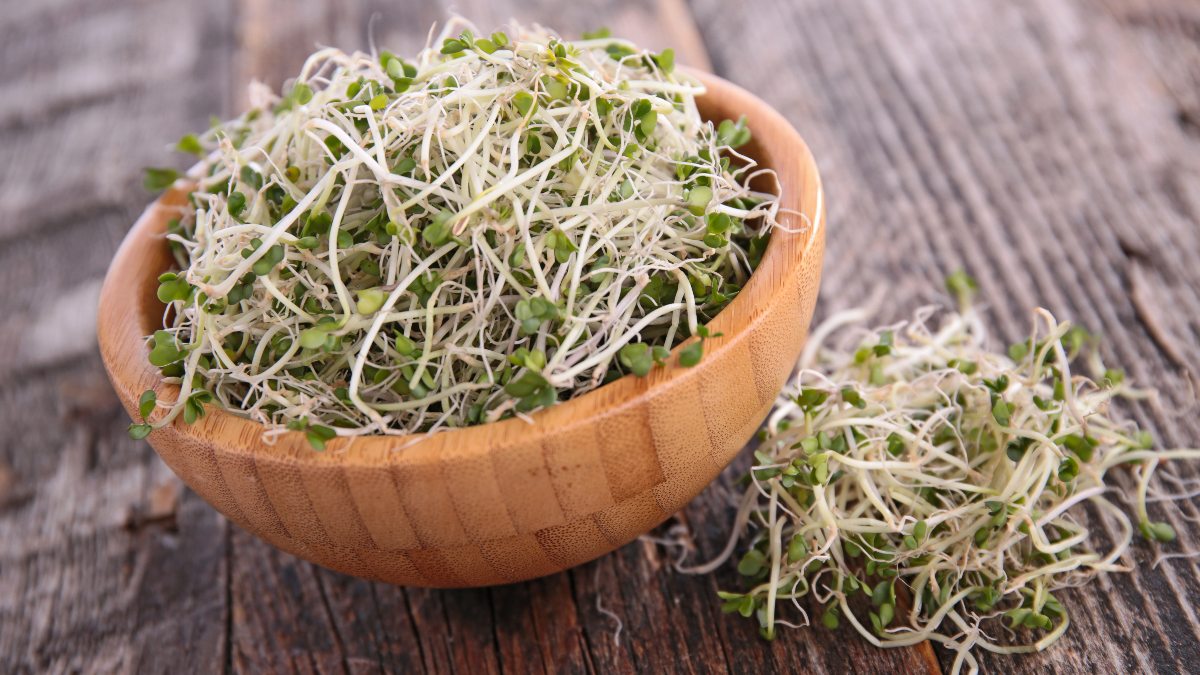 Your Guide to Broccoli Sprouts: Nutrition, Health Benefits, Growing at Home, and Recipes