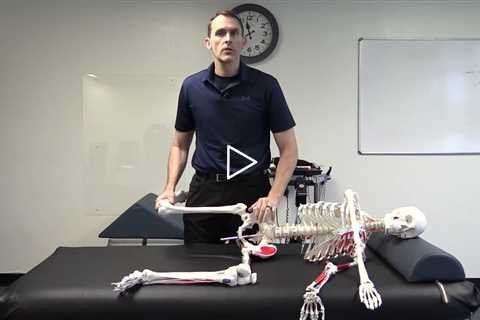 What Does The PRI Adduction Drop Test Measure? - Walkthrough