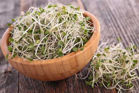 Your Guide to Broccoli Sprouts: Nutrition, Health Benefits, Growing at Home, and Recipes