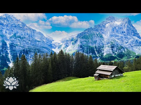 Healing music and beautiful nature help to relax the mind⛅Reduce stress, Fall asleep instantly