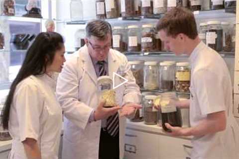 UTS Science: Chinese Medicine Clinic