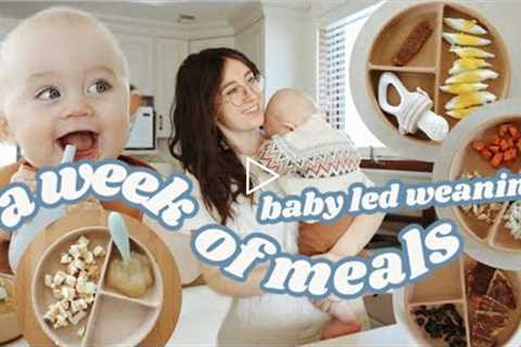 What My 8 Month Old Eats In A Week // BABY LED WEANING tips, tricks, & recipes!!!