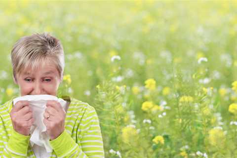 Say Goodbye To Hay Fever and Seasonal Allergies with 4 Natural, Science-Supported Remedies