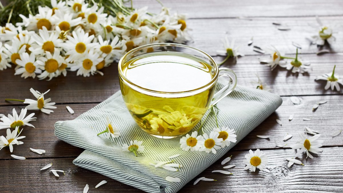 This Floral Tea May Slow the Onset of Osteoporosis (and Other Health Benefits)