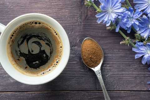 How Chicory Coffee May Boost Gut Health Balance Blood Sugar and Promote Weight Loss