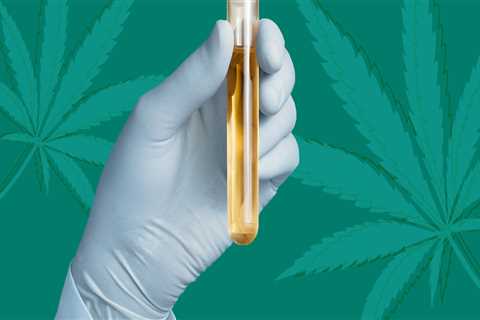 Does full spectrum cbd show up in drug tests?