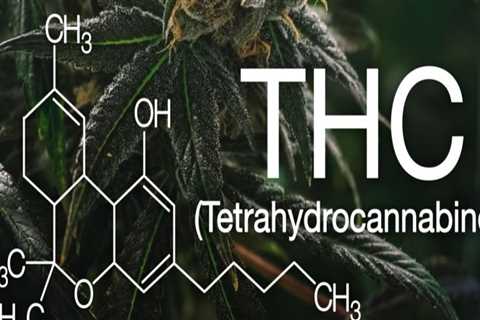 What do the letters thc stand for?