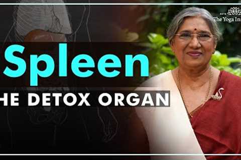 Know how to take care of your spleen | Dr. Hansaji Yogendra