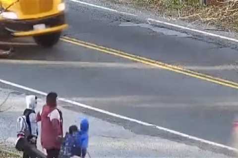 Video of driver speeding past school bus and almost hitting a mom and her kids goes viral
