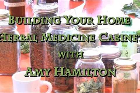 Building Your Home Herbal Medicine Cabinet with Amy Hamilton