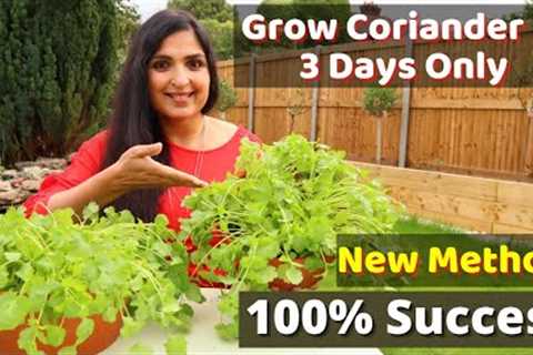 Fastest Coriander Growing Method / No one told you before / Cilantro Growing At Home  #cilantro #DIY