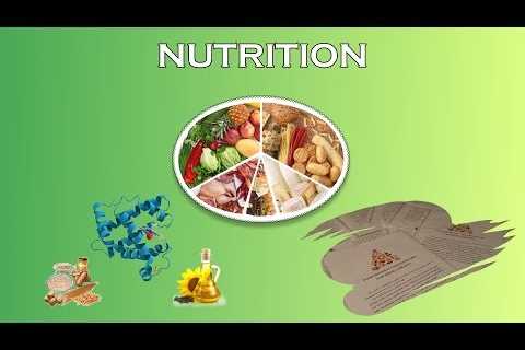 Sports Nutrition For Young Athletes (Nutritional Assessment)