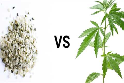 The Difference Between CBD and Hemp Explained
