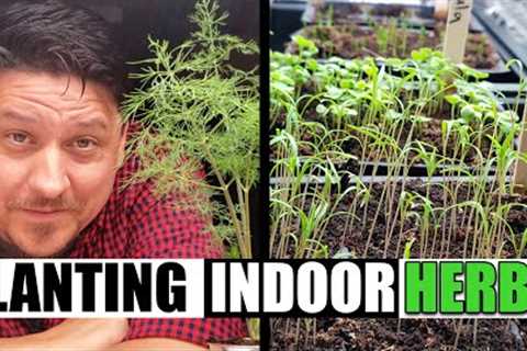 Easiest Way To Plant Your Indoor Herbs! - Garden Quickie Episode 113