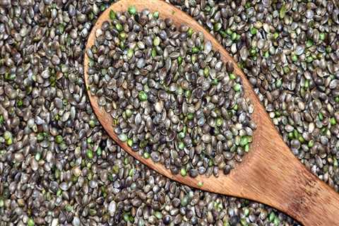 Is it Legal to Have Hemp Seeds?