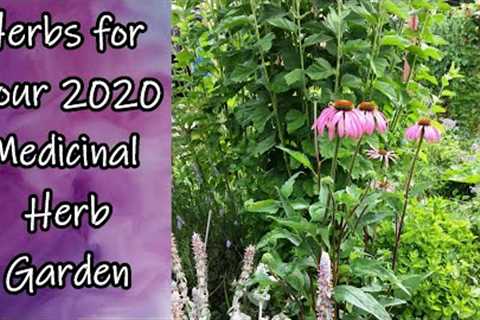 Herbs for Your 2020 Medicinal Herb Garden