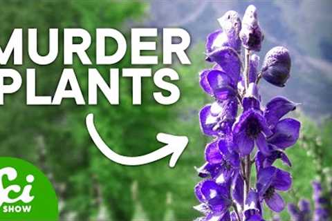 The Top 10 Deadliest Plants (They Can Kill You!)