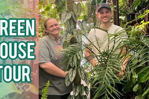 TROPICAL GREENHOUSE - What''s growing at GrowingGrounds, Plant Fair prep & lots of laughs