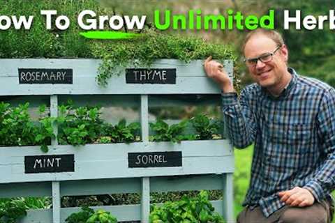 Grow Unlimited Herbs for Free Using an Old Pallet