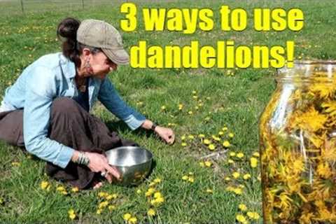 3 WAYS TO USE SPRING DANDELIONS ~ FORAGING