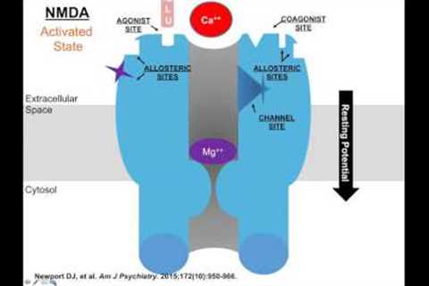 Ketamine, Glutamate, and the Future of Mood Disorders Therapeutics