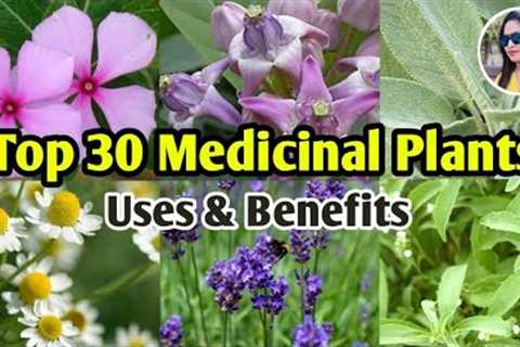 30 Medicinal Plants And Their Uses | Ayurvedic Plants Names | Medicinal Herbs | Lipsha world