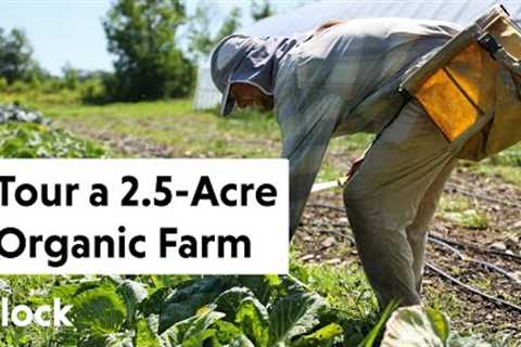 20-YR OLD ORGANIC 2.5-ACRE VEGGIE Farm Feeds 100+ People — Ep. 114