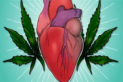 Can CBD Help Regulate Heart Rhythms?