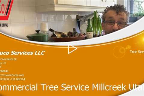 Tree-Services-Highland-Utah