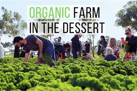 Emirates Bio Farm tour: organic farming in Al Ain