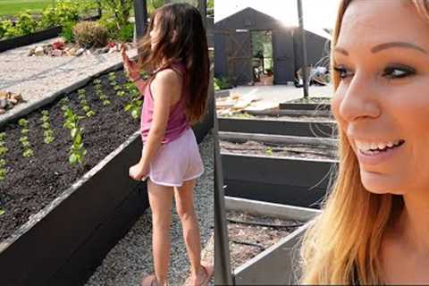 NEW Garden Combo with Herbs, Flowers & Vegetables using Plants & Seeds | Raised Beds Part 2,..
