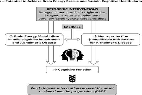 Intermittent Fasting and Cognitive Function - How it Can Improve Brain Health