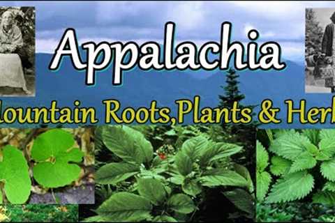 Appalachia Mountain Roots Plants and Herbs