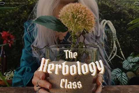 The Herbology Class ASMR 🌿 Cinematic Witch Roleplay, Soft Spoken & Nature Sounds at Hogwarts