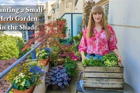 What Herbs Can You Plant On a Shady Balcony + Growing Tips