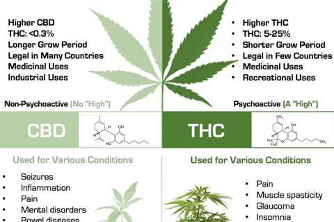 A neat cannabis infographic describing the differences between hemp and…
