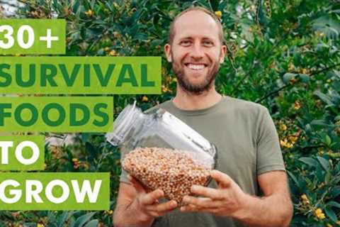 30+ Survival Foods to Grow to Live on Your Garden (in Florida)