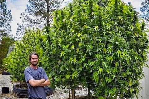 Gardening can be really satisfying and rewarding work.  #Mmemberville…
