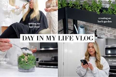 VLOG: life updates, making an herb garden, hormone test results, new hair + basil pesto recipe!