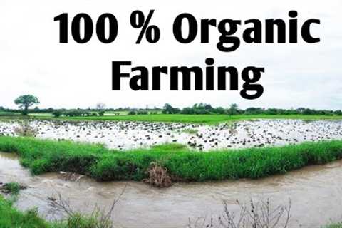 100 % Organic Farming || Natural Farming