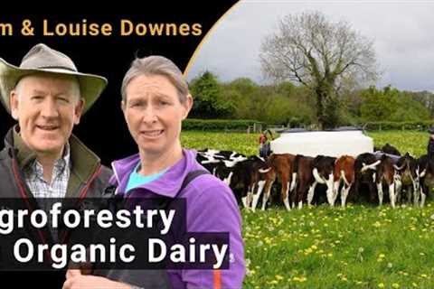Exploring Agroforestry in Organic Dairy – NEFERTITI Cross Visit at Tim and Louise Downes''  farm