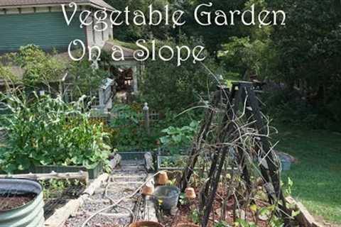 Vegetable Garden on a steep SLOPE/  Seeds to sow in late summer